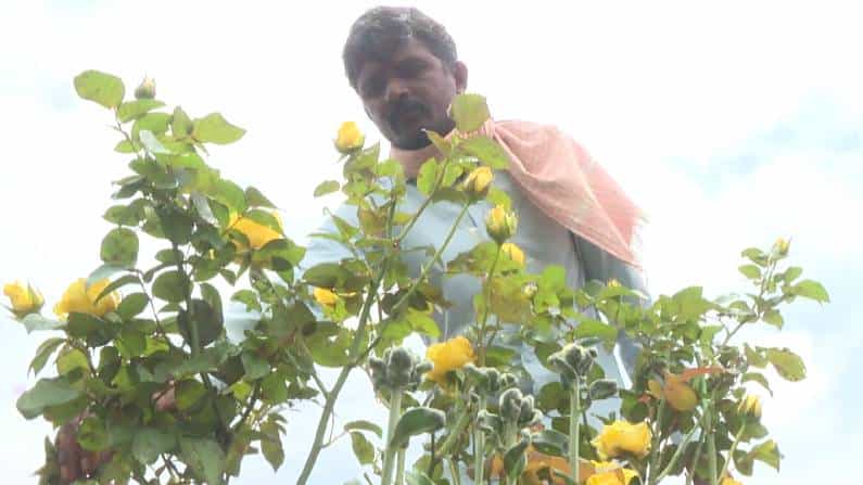 ಗದಗ: ಎರಡು ಎಕರೆ ಜಮೀನಿನಲ್ಲಿ ಭರ್ಜರಿ ಗುಲಾಬಿ ಹೂವು ಬೆಳೆದ ಉಪನ್ಯಾಸಕ; ಲಕ್ಷ ಲಕ್ಷ ರೂಪಾಯಿ ಸಂಪಾದನೆ ಗದಗ: ಎರಡು ಎಕರೆ ಜಮೀನಿನಲ್ಲಿ ಭರ್ಜರಿ ಗುಲಾಬಿ ಹೂವು ಬೆಳೆದ ಉಪನ್ಯಾಸಕ; ಲಕ್ಷ ಲಕ್ಷ ರೂಪಾಯಿ ಸಂಪಾದನೆ