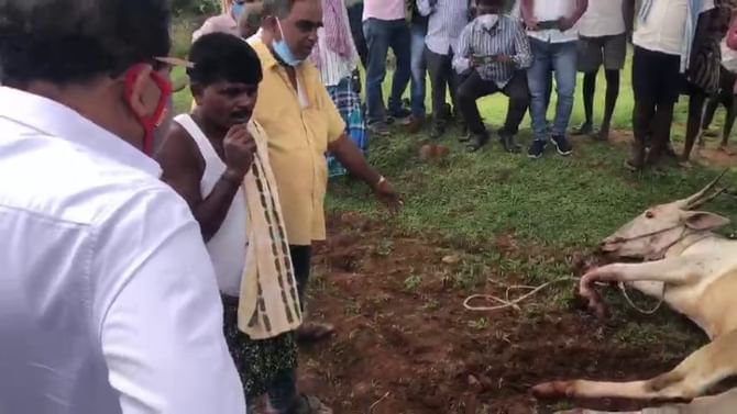ಹೊಲದಲ್ಲಿ ಕಾಲು ಮುರಿದುಕೊಂಡ ಎತ್ತು; ಮಾನವೀಯತೆ ಮೆರೆದ ಮಾಜಿ ಡಿಸಿಎಂ ಡಾ. ಜಿ. ಪರಮೇಶ್ವರ್ ಹೊಲದಲ್ಲಿ ಕಾಲು ಮುರಿದುಕೊಂಡ ಎತ್ತು; ಮಾನವೀಯತೆ ಮೆರೆದ ಮಾಜಿ ಡಿಸಿಎಂ ಡಾ. ಜಿ. ಪರಮೇಶ್ವರ್