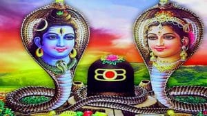 Nag Panchami 2021: ಶ್ರಾವಣ ಮಾಸದ ಅಚ್ಚುಮೆಚ್ಚಿನ ಹಬ್ಬ ನಾಗರ ಪಂಚಮಿ- ಏನಿದರ ವಿಶೇಷ, ಆಚರಣೆ, ಭಾವ-ಭಕ್ತಿ ಹೇಗೆ?