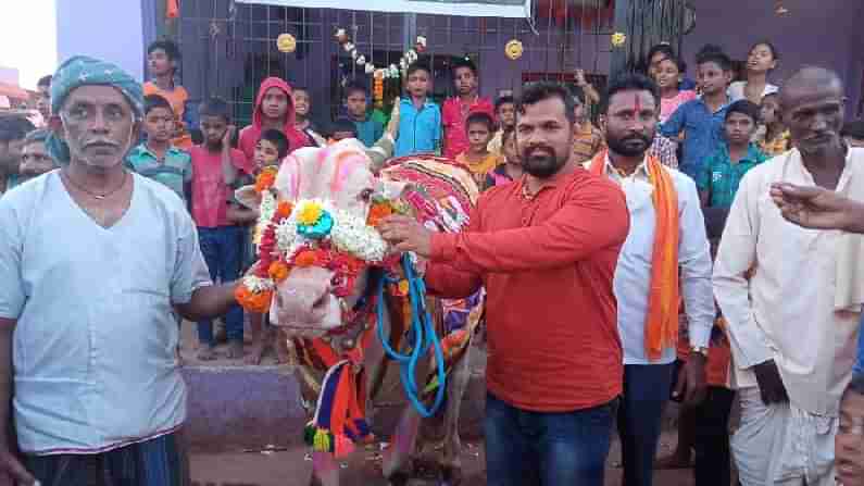 ಧಾರವಾಡದ ಮೈಲಾರಿಗೆ ಗ್ರಾಮಸ್ಥರಿಂದ ಬೀಳ್ಕೊಡುಗೆ; ವಿಶೇಷ ಆಚರಣೆಗೆ ಸಾಕ್ಷಿಯಾದ ಹೋರಿ ನಿವೃತ್ತಿ