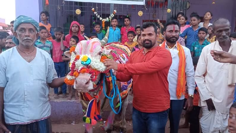 ಧಾರವಾಡದ ಮೈಲಾರಿಗೆ ಗ್ರಾಮಸ್ಥರಿಂದ ಬೀಳ್ಕೊಡುಗೆ; ವಿಶೇಷ ಆಚರಣೆಗೆ ಸಾಕ್ಷಿಯಾದ ಹೋರಿ ನಿವೃತ್ತಿ