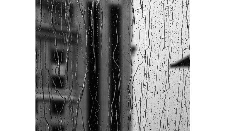 rain series