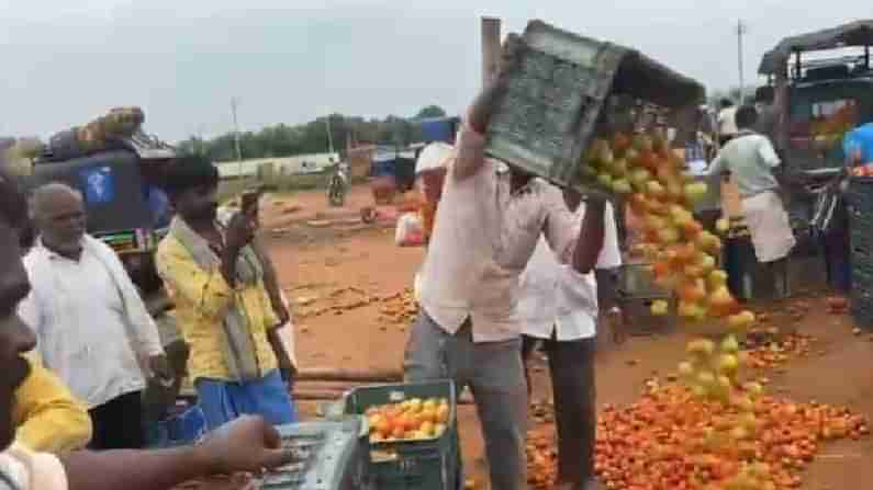 ಕೊಪ್ಪಳ: ಟೊಮೆಟೋ ದರ ಕುಸಿತ; ಬೆಳೆದ ಟೊಮೆಟೋವನ್ನೆಲ್ಲಾ ಬೀದಿಗೆ ಸುರಿದು ರೈತರಿಂದ ಆಕ್ರೋಶ