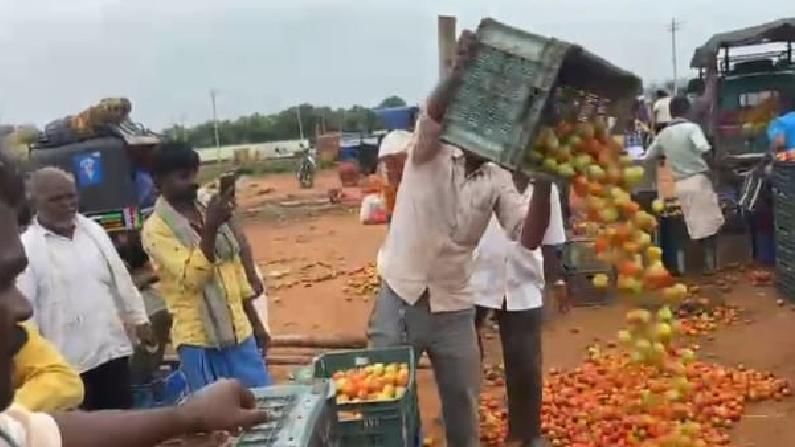 ಕೊಪ್ಪಳ: ಟೊಮೆಟೋ ದರ ಕುಸಿತ; ಬೆಳೆದ ಟೊಮೆಟೋವನ್ನೆಲ್ಲಾ ಬೀದಿಗೆ ಸುರಿದು ರೈತರಿಂದ ಆಕ್ರೋಶ