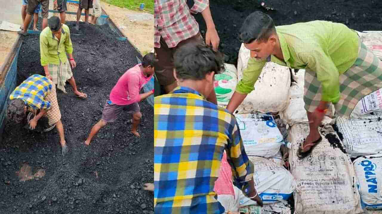 ಮಲ್ಕನ್‌ಗಿರಿ: ಟ್ರಕ್‌ನಲ್ಲಿ ಕಲ್ಲಿದ್ದಲಿನ ಮಧ್ಯೆ 2 ಕೋಟಿ ರೂ. ಗಾಂಜಾ ಸಾಗಣೆ, ಜಪ್ತಿ, ಮೂವರ ಸೆರೆ