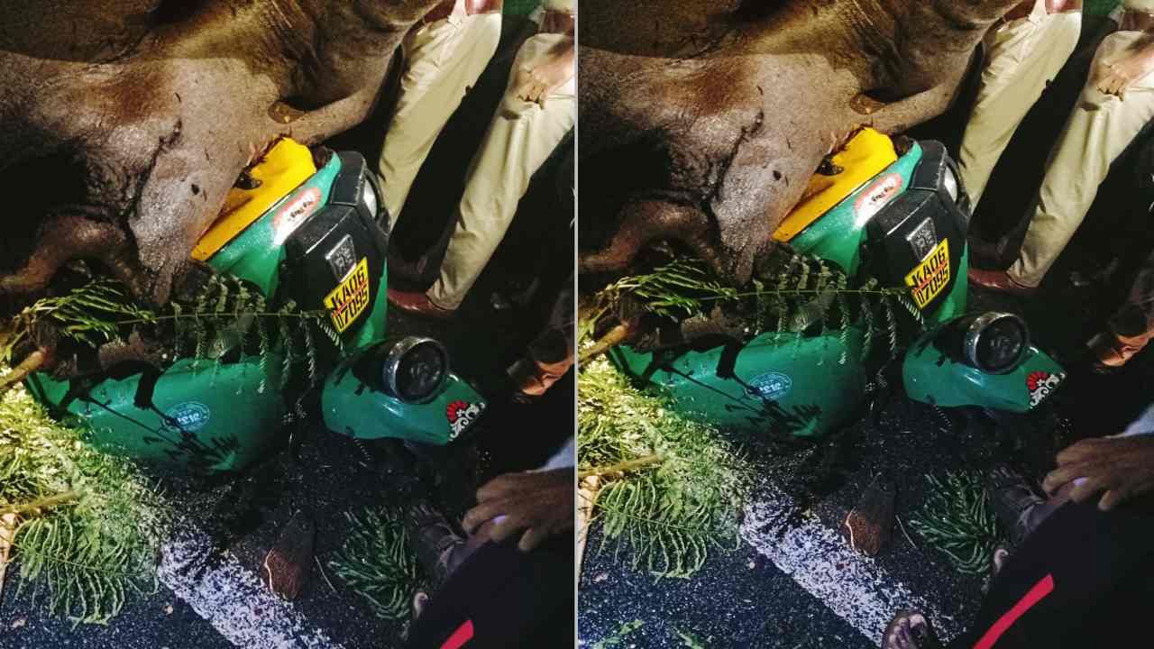 ಮೈಸೂರು: ಮಳೆಯಿಂದಾಗಿ ಮರ ಉರುಳಿ ಬಿದ್ದು ಆಟೋ ಚಾಲಕ ಸಾವು ಮೈಸೂರು: ಮಳೆಯಿಂದಾಗಿ ಮರ ಉರುಳಿ ಬಿದ್ದು ಆಟೋ ಚಾಲಕ ಸಾವು