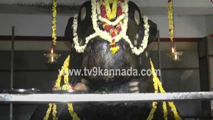 ಕಣಿವೆ ಬಸವಣ್ಣ ದೇವಸ್ಥಾನದಲ್ಲಿರುವ ನಂದಿಯ ಗಾತ್ರ ಹೆಚ್ಚುತ್ತಿದೆ, ಅದು ಎದ್ದು ನಿಂತು ಗುಟುರು ಹಾಕಿದರೆ ಕಲಿಯುಗದ ಸಮಾಪ್ತಿ! ಕಣಿವೆ ಬಸವಣ್ಣ ದೇವಸ್ಥಾನದಲ್ಲಿರುವ ನಂದಿಯ ಗಾತ್ರ ಹೆಚ್ಚುತ್ತಿದೆ, ಅದು ಎದ್ದು ನಿಂತು ಗುಟುರು ಹಾಕಿದರೆ ಕಲಿಯುಗದ ಸಮಾಪ್ತಿ!