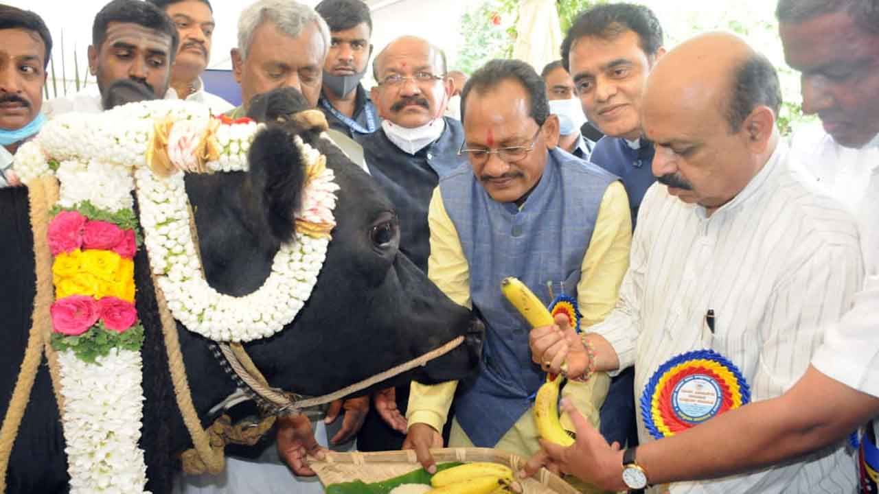 ಕೆಎಂಎಫ್ ಬ್ಯಾಂಕ್ ಅಸ್ತಿತ್ವಕ್ಕೆ ಬಂದರೆ ಸರ್ಕಾರದಿಂದ 100 ಕೋಟಿ ಬಂಡವಾಳ: ಬೊಮ್ಮಾಯಿ ಭರವಸೆ