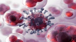 Karnataka Covid19 Update: ಕರ್ನಾಟಕದಲ್ಲಿ ಹೊಸದಾಗಿ 801 ಜನರಿಗೆ ಕೊರೊನಾ ದೃಢ; 15 ಮಂದಿ ಸಾವು