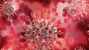 Karnataka Covid19 Update: ಕರ್ನಾಟಕದಲ್ಲಿ ಹೊಸದಾಗಿ 264 ಜನರಿಗೆ ಕೊರೊನಾ ದೃಢ; 6 ಮಂದಿ ಸಾವು