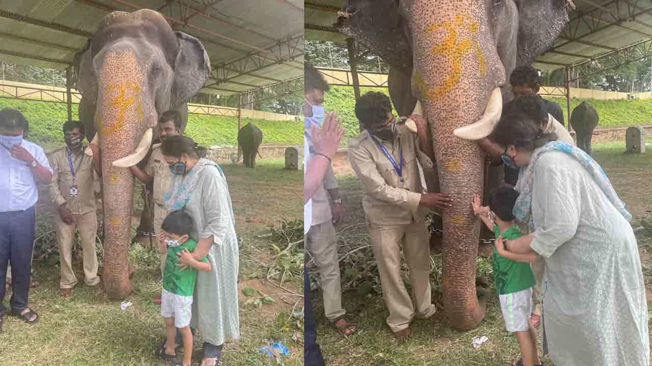 ದಸರಾ ಆನೆಗಳ ಯೋಗಕ್ಷೇಮ ವಿಚಾರಿಸಿ ಮೊಮ್ಮಗನ ಜೊತೆ ಫೋಟೋಗೆ ಪೋಸ್ ಕೊಟ್ಟ ಪ್ರಮೋದಾದೇವಿ ಒಡೆಯರ್‌