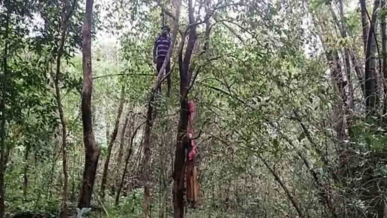 ಚೆಂಬು ಗ್ರಾಮ ಪಂಚಾಯಿತಿ ಸದಸ್ಯೆ ನಾಪತ್ತೆ ಪ್ರಕರಣ: ಸದಸ್ಯೆ ಮತ್ತು ಆಕೆ ಸಂಬಂಧಿ ನೇಣು ಬಿಗಿದ ಸ್ಥಿತಿಯಲ್ಲಿ ಶವವಾಗಿ ಪತ್ತೆ