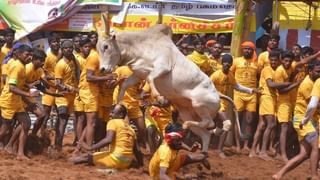 ಕೇರಳದ ಕೊಲ್ಲಂನಲ್ಲಿ ದೋಣಿ ಮುಳುಗಿ 4 ಮೀನುಗಾರರು ಸಾವು; 12 ಜನರ ರಕ್ಷಣೆ