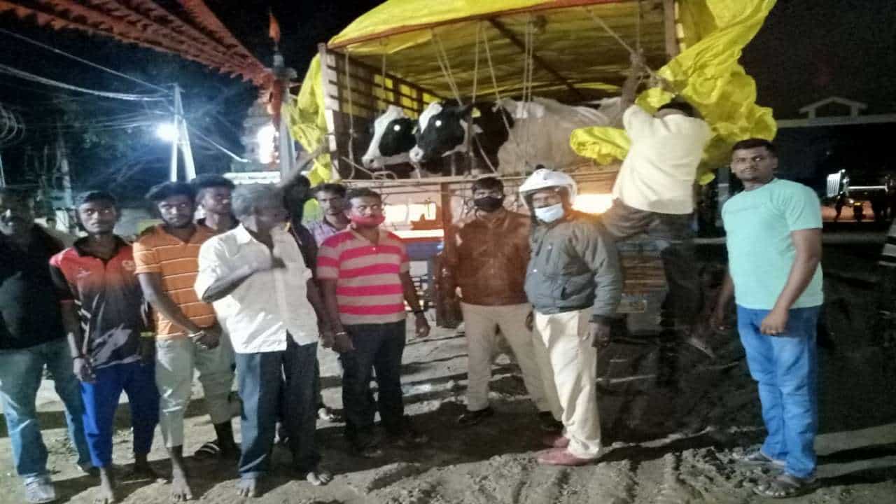 Illegal cattle transportation: ಅಕ್ರಮ ಗೋವುಗಳ ಸಾಗಾಟ- ಲಾರಿಯಲ್ಲೇ ಉಸಿರು ಚೆಲ್ಲಿದ 5 ಹಸು, 2 ಲಾರಿ ಹಿಡಿದ ಗ್ರಾಮಸ್ಥರು Illegal cattle transportation: ಅಕ್ರಮ ಗೋವುಗಳ ಸಾಗಾಟ- ಲಾರಿಯಲ್ಲೇ ಉಸಿರು ಚೆಲ್ಲಿದ 5 ಹಸು, 2 ಲಾರಿ ಹಿಡಿದ ಗ್ರಾಮಸ್ಥರು