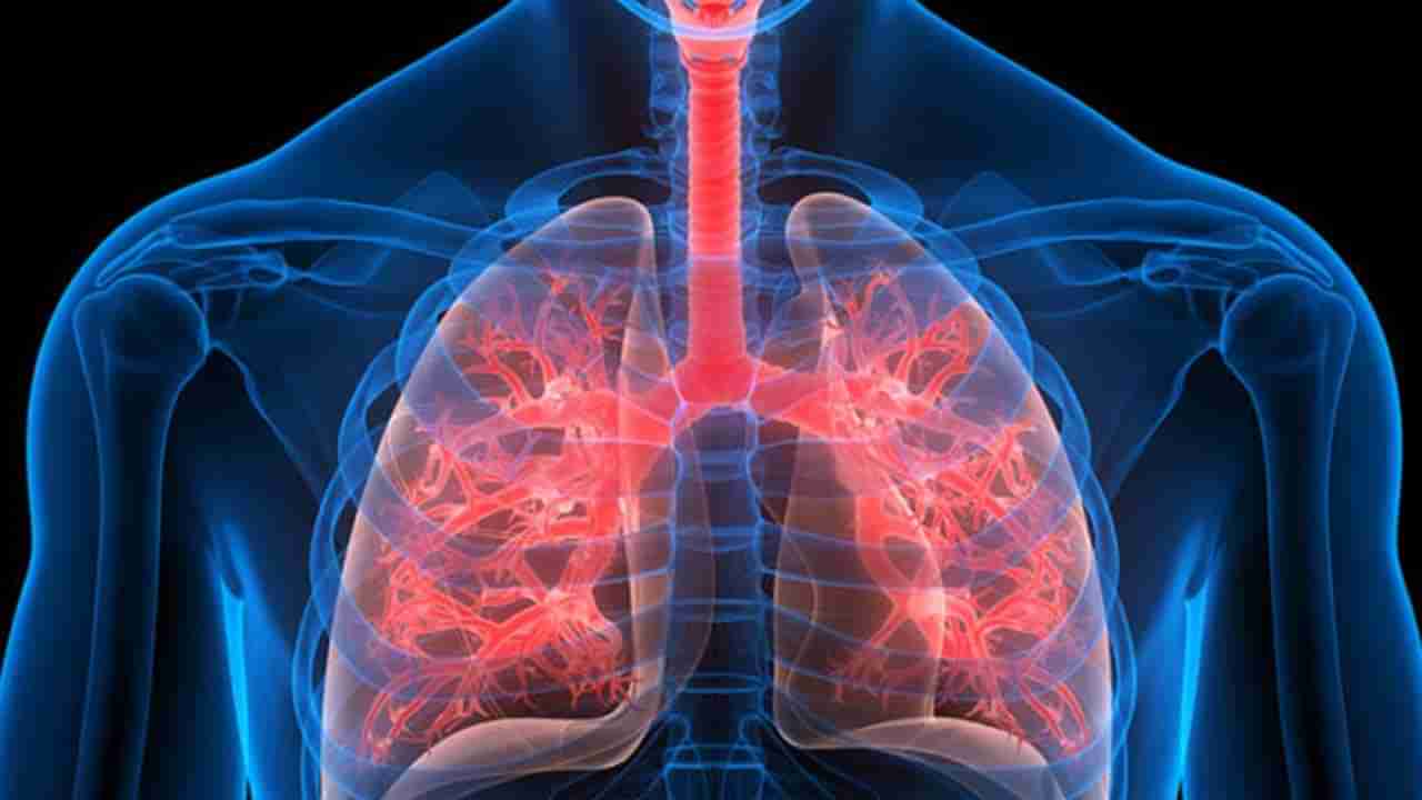 Lungs: ಶ್ವಾಸಕೋಶ ಕಾಯಿಲೆಗಳ ಲಕ್ಷಣಗಳೇನು? ಇಲ್ಲಿವೆ ನೋಡಿ