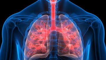 Lungs: ಶ್ವಾಸಕೋಶ ಕಾಯಿಲೆಗಳ ಲಕ್ಷಣಗಳೇನು? ಇಲ್ಲಿವೆ ನೋಡಿ