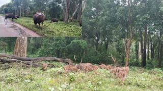 ಮುಂದೆ ಮೈಸೂರು ಕಟ್ಟಿಸಿದ್ದು ನಾನೇ ಅಂತಾರೆ ಪ್ರತಾಪ್ ಸಿಂಹ! ಎಮ್​ಎಲ್​ಸಿ ವಿಶ್ವನಾಥ್ ಮತ್ತೆ ವಾಗ್ದಾಳಿ