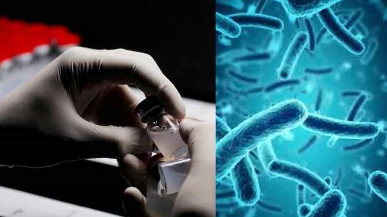 Nipah virus: ನಿಫಾ ವೈರಸ್ ವಿರುದ್ಧ ಕೊವಿಶೀಲ್ಡ್ ಲಸಿಕೆ ಬಳಕೆ; ಅಧ್ಯಯನ ಹೇಳಿದ್ದೇನು?