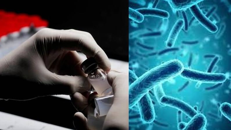 Nipah virus: ನಿಫಾ ವೈರಸ್ ವಿರುದ್ಧ ಕೊವಿಶೀಲ್ಡ್ ಲಸಿಕೆ ಬಳಕೆ; ಅಧ್ಯಯನ ಹೇಳಿದ್ದೇನು? Nipah virus: ನಿಫಾ ವೈರಸ್ ವಿರುದ್ಧ ಕೊವಿಶೀಲ್ಡ್ ಲಸಿಕೆ ಬಳಕೆ; ಅಧ್ಯಯನ ಹೇಳಿದ್ದೇನು?