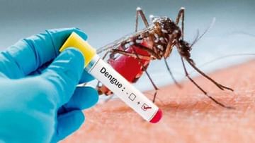 Dengue Variant DENV-2 | 11 ರಾಜ್ಯಗಳಲ್ಲಿ ಹೊಸ ರೂಪದ ಡೆಂಗ್ಯೂ ಜ್ವರ ಪತ್ತೆ; ಆತಂಕ ಹೆಚ್ಚಿಸಿರುವ ಈ ರೋಗದ ಲಕ್ಷಣಗಳೇನು?