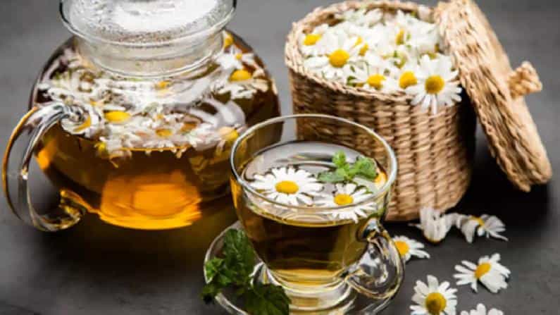 Chamomile Tea: ಕ್ಯಾಮೊಮೈಲ್ ಟೀಯಲ್ಲಿದೆ ಆರೋಗ್ಯದ ಗುಟ್ಟು; ಕಾಫಿ ಪಕ್ಕಕ್ಕಿಟ್ಟು ಹರ್ಬಲ್ ಚಹಾ ಕುಡಿದು ನೋಡಿ Chamomile Tea: ಕ್ಯಾಮೊಮೈಲ್ ಟೀಯಲ್ಲಿದೆ ಆರೋಗ್ಯದ ಗುಟ್ಟು; ಕಾಫಿ ಪಕ್ಕಕ್ಕಿಟ್ಟು ಹರ್ಬಲ್ ಚಹಾ ಕುಡಿದು ನೋಡಿ
