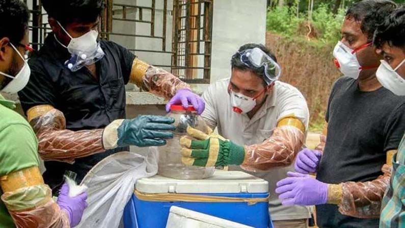Nipah virus ಕೇರಳದ ಕೋಯಿಕ್ಕೋಡ್ ಜಿಲ್ಲೆಯಲ್ಲಿ ನಿಫಾ ವೈರಸ್ನಿಂದ ಬಾಲಕ ಸಾವು Nipah virus ಕೇರಳದ ಕೋಯಿಕ್ಕೋಡ್ ಜಿಲ್ಲೆಯಲ್ಲಿ ನಿಫಾ ವೈರಸ್ನಿಂದ ಬಾಲಕ ಸಾವು