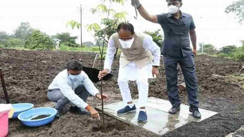 Viral Photo: ಮಳೆಯಲ್ಲಿ ಛತ್ರಿ ಹಿಡಿದು ಗಿಡಕ್ಕೆ ನೀರು, ಕೆಳಗೆ ಮಾರ್ಬಲ್ ಕಲ್ಲು; ವಿಪರೀತ ಟ್ರೋಲ್ ಆದ ಮಧ್ಯಪ್ರದೇಶ ಸಿಎಂ