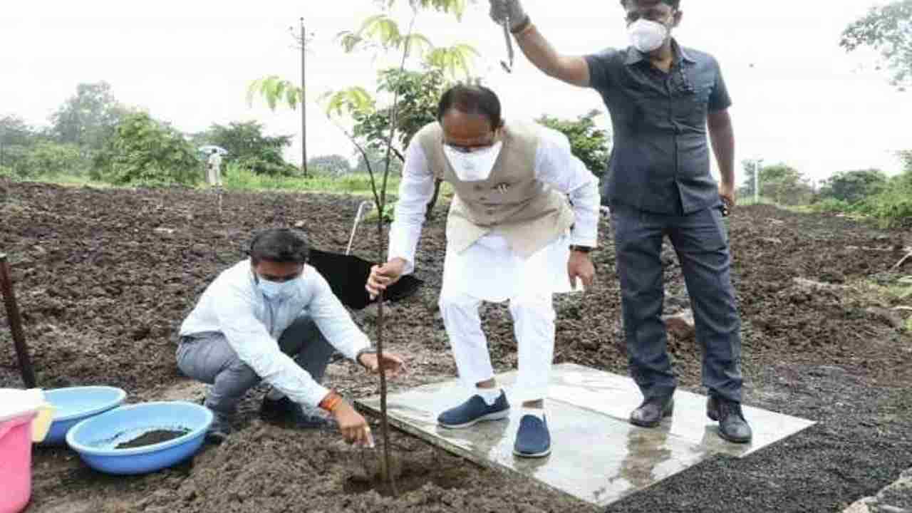 Viral Photo: ಮಳೆಯಲ್ಲಿ ಛತ್ರಿ ಹಿಡಿದು ಗಿಡಕ್ಕೆ ನೀರು, ಕೆಳಗೆ ಮಾರ್ಬಲ್ ಕಲ್ಲು; ವಿಪರೀತ ಟ್ರೋಲ್ ಆದ ಮಧ್ಯಪ್ರದೇಶ ಸಿಎಂ Viral Photo: ಮಳೆಯಲ್ಲಿ ಛತ್ರಿ ಹಿಡಿದು ಗಿಡಕ್ಕೆ ನೀರು, ಕೆಳಗೆ ಮಾರ್ಬಲ್ ಕಲ್ಲು; ವಿಪರೀತ ಟ್ರೋಲ್ ಆದ ಮಧ್ಯಪ್ರದೇಶ ಸಿಎಂ