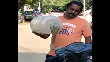 Viral Video: ಹಾವು ರಕ್ಷಕನ ಕೌಶಲ್ಯ ನೋಡಿ ಆಶ್ಚರ್ಯಗೊಂಡ ನೆಟ್ಟಿಗರು; ವಿಡಿಯೋ ವೈರಲ್​