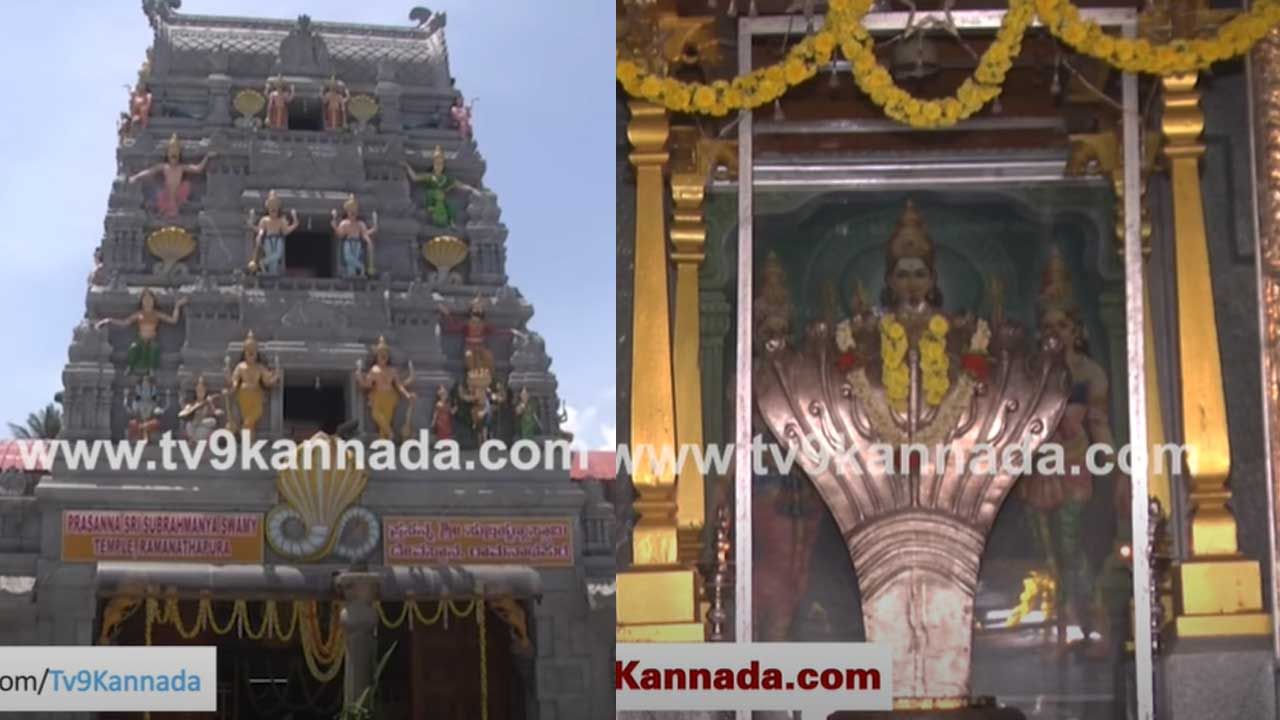 Temple Tour: ಕುಕ್ಕೇ ಸುಬ್ರಹ್ಮಣ್ಯ ದೇಗುಲದಷ್ಟೇ ಪ್ರಸಿದ್ಧಿ ಪಡೆದಿದೆ ಹಾಸನದ ಪ್ರಸನ್ನ ಸುಬ್ರಹ್ಮಣ್ಯ ದೇವಾಲಯ