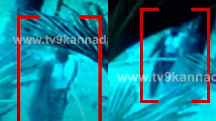 ಕಳ್ಳತನಕ್ಕೆ ಅಡ್ಡಿಯಾಗುತ್ತೆಂದು ಸಿಸಿ ಕ್ಯಾಮರಾ ಒಡೆದು ಹಾಕಿದ ಮಹಿಳೆ; ವಿಡಿಯೋ ನೋಡಿ ಕಳ್ಳತನಕ್ಕೆ ಅಡ್ಡಿಯಾಗುತ್ತೆಂದು ಸಿಸಿ ಕ್ಯಾಮರಾ ಒಡೆದು ಹಾಕಿದ ಮಹಿಳೆ; ವಿಡಿಯೋ ನೋಡಿ