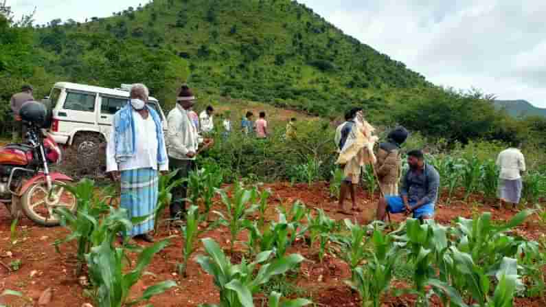 ಚಿಕ್ಕಮಗಳೂರು: ಕುರಿಗಾವಲು ಉಳಿಸಲು ಕಡೂರಿನಲ್ಲಿ ರೈತರು, ಕುರಿಗಾಹಿಗಳಿಂದ ಬೃಹತ್ ಪ್ರತಿಭಟನೆ