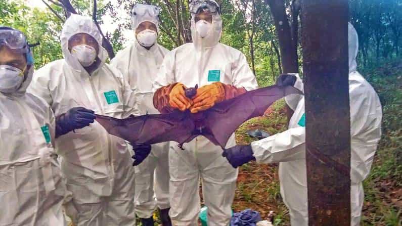 Nipah Virus: ಅಕ್ಟೋಬರ್ವರೆಗೆ ಕೇರಳದಿಂದ ಕರ್ನಾಟಕಕ್ಕೆ ಆಗಮಿಸಬೇಡಿ; ಮನವಿಪೂರ್ವಕ ಸೂಚನೆ ನೀಡಿದ ಕರ್ನಾಟಕ ಸರ್ಕಾರ Nipah Virus: ಅಕ್ಟೋಬರ್ವರೆಗೆ ಕೇರಳದಿಂದ ಕರ್ನಾಟಕಕ್ಕೆ ಆಗಮಿಸಬೇಡಿ; ಮನವಿಪೂರ್ವಕ ಸೂಚನೆ ನೀಡಿದ ಕರ್ನಾಟಕ ಸರ್ಕಾರ