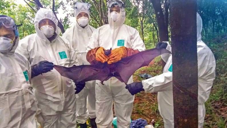 Nipah Virus: ಅಕ್ಟೋಬರ್​ವರೆಗೆ ಕೇರಳದಿಂದ ಕರ್ನಾಟಕಕ್ಕೆ ಆಗಮಿಸಬೇಡಿ; ಮನವಿಪೂರ್ವಕ ಸೂಚನೆ ನೀಡಿದ ಕರ್ನಾಟಕ ಸರ್ಕಾರ