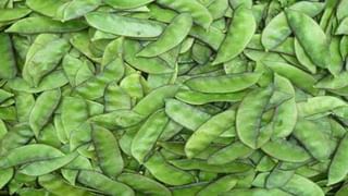 Mosambi Juice Benefits: ಮೂಸಂಬಿ ಜ್ಯೂಸ್​ ಆರೋಗ್ಯಕ್ಕೆ ಉತ್ತಮ; ವಾರಕ್ಕೆ ಎರಡು ಬಾರಿಯಾದರೂ ಮೂಸಂಬಿ ಜ್ಯೂಸ್​ ಸವಿಯಿರಿ