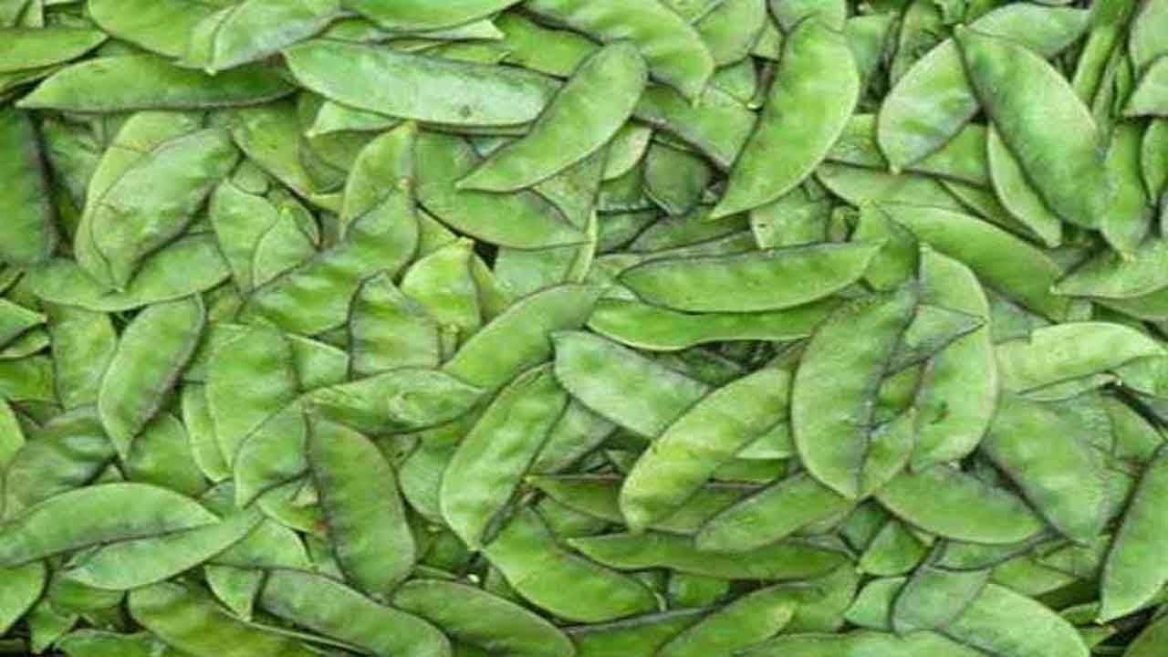 Benefits of Green Peas: ಅವರೆಕಾಳು ಸೇವನೆಯಿಂದ ಆರೋಗ್ಯ ಪ್ರಯೋಜನಗಳು ಎಷ್ಟಿವೆ ಗೊತ್ತಾ?