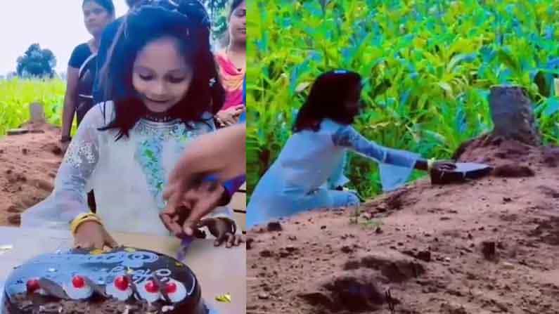 ಅಪ್ಪನ ಸಮಾಧಿ ಬಳಿ ಕೇಕ್ ಕಟ್; ಸಮಾಧಿಗೆ ಕೇಕ್ ಅರ್ಪಿಸಿ, ಜನ್ಮ ದಿನ ಆಚರಿಸಿಕೊಂಡ ಬಾಲಕಿ, ಮನ ಮಿಡಿಯುವ ವಿಡಿಯೋ ವೈರಲ್ ಅಪ್ಪನ ಸಮಾಧಿ ಬಳಿ ಕೇಕ್ ಕಟ್; ಸಮಾಧಿಗೆ ಕೇಕ್ ಅರ್ಪಿಸಿ, ಜನ್ಮ ದಿನ ಆಚರಿಸಿಕೊಂಡ ಬಾಲಕಿ, ಮನ ಮಿಡಿಯುವ ವಿಡಿಯೋ ವೈರಲ್
