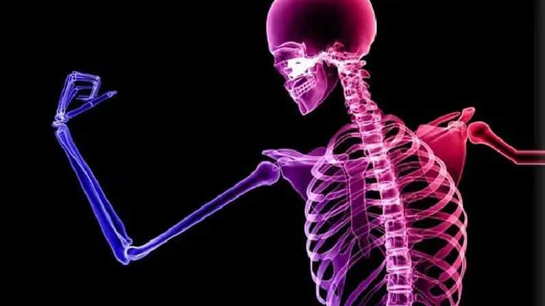 Bone Health: ಮೂಳೆಗಳ ಕಾಳಜಿಗಾಗಿ ಈ ಹಣ್ಣುಗಳನ್ನು ಸೇವಿಸುವ ಅಭ್ಯಾಸ ಮಾಡಿಕೊಳ್ಳಿ Bone Health: ಮೂಳೆಗಳ ಕಾಳಜಿಗಾಗಿ ಈ ಹಣ್ಣುಗಳನ್ನು ಸೇವಿಸುವ ಅಭ್ಯಾಸ ಮಾಡಿಕೊಳ್ಳಿ