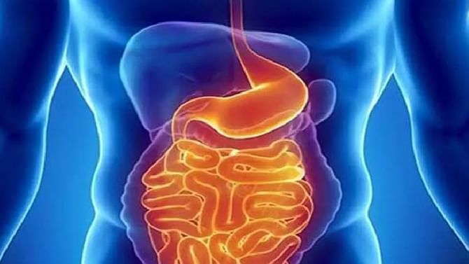 Digestive System: ಆರೋಗ್ಯಕರ ಜೀರ್ಣಾಂಗ ವ್ಯವಸ್ಥೆಗೆ ಈ 5 ವಿಧಾನಗಳನ್ನು ಅನುಸರಿಸಿ Digestive System: ಆರೋಗ್ಯಕರ ಜೀರ್ಣಾಂಗ ವ್ಯವಸ್ಥೆಗೆ ಈ 5 ವಿಧಾನಗಳನ್ನು ಅನುಸರಿಸಿ