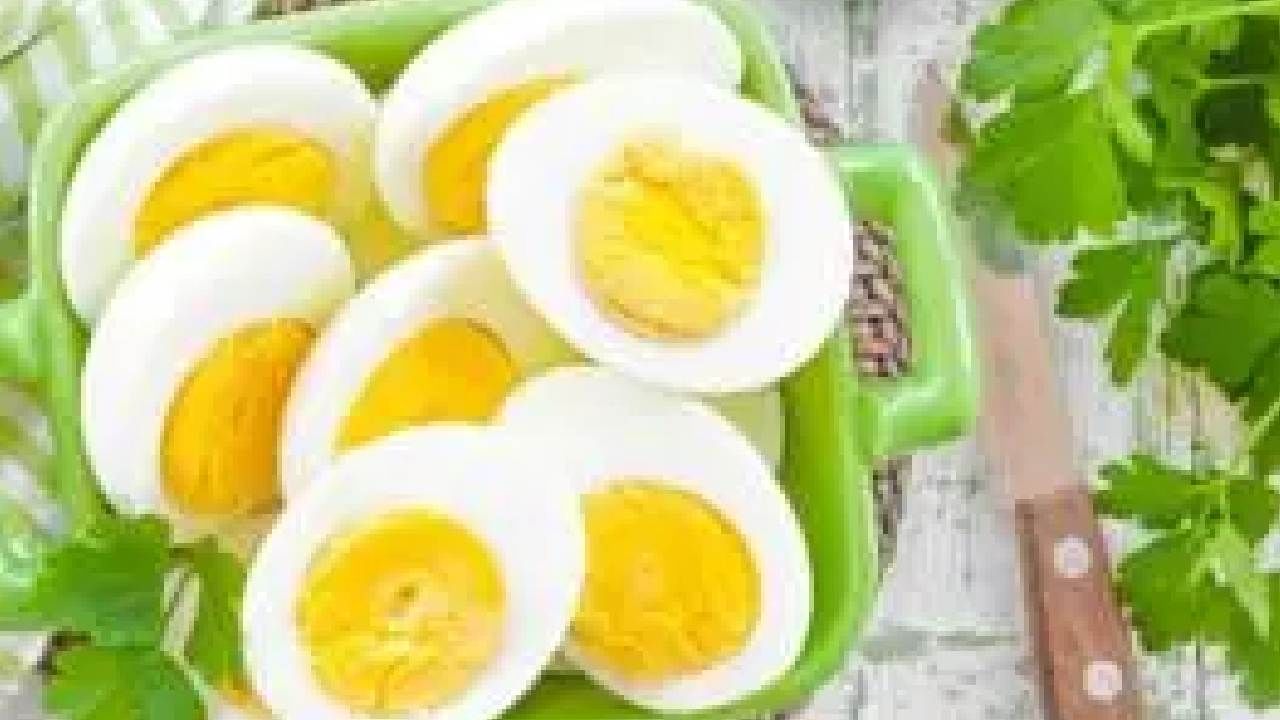 Egg Side Effect: ಪ್ರತಿದಿನ ಮೊಟ್ಟೆ ಸೇವಿಸುವ ಅಭ್ಯಾಸ ಇದೆಯೇ? ಅಡ್ಡಪರಿಣಾಮಗಳ ಬಗ್ಗೆ ಎಚ್ಚರ ವಹಿಸಿ