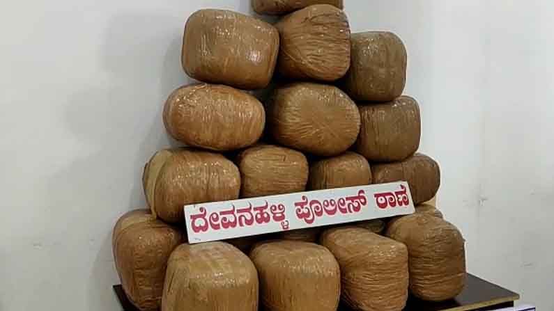 ವಿದೇಶದಲ್ಲಿ ವಿದ್ಯಾಭ್ಯಾಸ ಮಾಡಿ ಗಾಂಜಾ ಮಾರಾಟಕ್ಕೆ ಇಳಿದಿದ್ದ ಯುವಕ ಮೊದಲ ಪ್ರಯತ್ನದಲ್ಲೇ ಪೊಲೀಸರಿಗೆ ಸಿಕ್ಕಿ ಬಿದ್ದ! ವಿದೇಶದಲ್ಲಿ ವಿದ್ಯಾಭ್ಯಾಸ ಮಾಡಿ ಗಾಂಜಾ ಮಾರಾಟಕ್ಕೆ ಇಳಿದಿದ್ದ ಯುವಕ ಮೊದಲ ಪ್ರಯತ್ನದಲ್ಲೇ ಪೊಲೀಸರಿಗೆ ಸಿಕ್ಕಿ ಬಿದ್ದ!