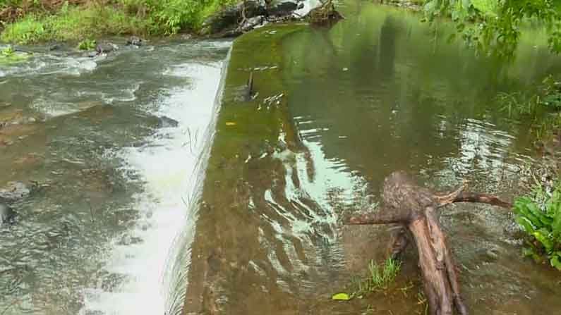 garvale temple fishes  