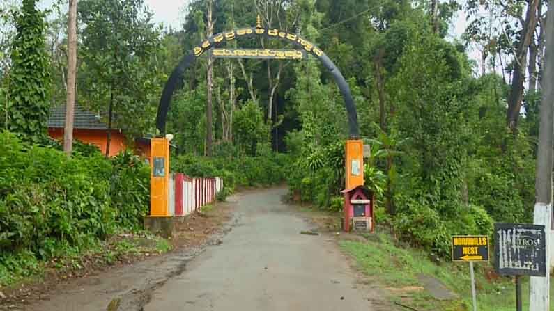 garvale temple fishes  