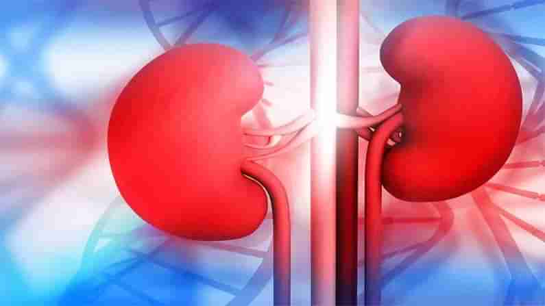 Kidney Problem: ಮೂತ್ರಪಿಂಡದ ಸಮಸ್ಯೆಯ ಲಕ್ಷಣ ಮತ್ತು ಮುನ್ನೆಚ್ಚರಿಕೆಯ ಕ್ರಮಗಳ ಬಗ್ಗೆ ತಿಳಿಯಿರಿ