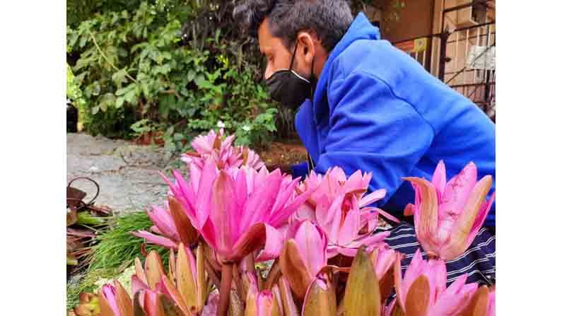 Lotus Vendor Doddaballapura Venkatesh