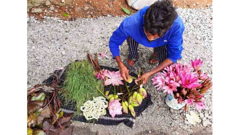 lotus vendor doddaballapura venkatesh