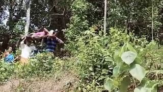ನಿಫಾ ಭೀತಿ: ಕೇರಳದಿಂದ ಬರುವವರಿಗೆ ಕಡ್ಡಾಯ ತಪಾಸಣೆ; ಇನ್ನೊಂದೆಡೆ, ಹಣ್ಣುಗಳಿಂದ ವೈರಸ್​ ಹಬ್ಬುವ ಭಯ