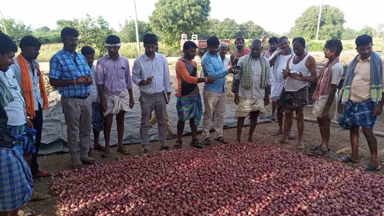 Onion Diseases: ಬೆಲೆ ಕುಸಿತದ ನಡುವೆ ಈರುಳ್ಳಿ ಬೆಳೆಗೆ ಕೊಳೆ ರೋಗ ಕಾಟ, ರೈತರು ಕಂಗಾಲು Onion Diseases: ಬೆಲೆ ಕುಸಿತದ ನಡುವೆ ಈರುಳ್ಳಿ ಬೆಳೆಗೆ ಕೊಳೆ ರೋಗ ಕಾಟ, ರೈತರು ಕಂಗಾಲು