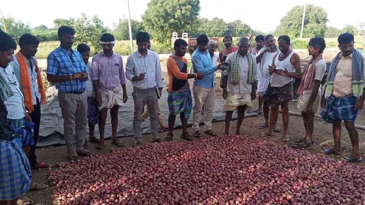 Onion Diseases: ಬೆಲೆ ಕುಸಿತದ ನಡುವೆ ಈರುಳ್ಳಿ ಬೆಳೆಗೆ ಕೊಳೆ ರೋಗ ಕಾಟ, ರೈತರು ಕಂಗಾಲು Onion Diseases: ಬೆಲೆ ಕುಸಿತದ ನಡುವೆ ಈರುಳ್ಳಿ ಬೆಳೆಗೆ ಕೊಳೆ ರೋಗ ಕಾಟ, ರೈತರು ಕಂಗಾಲು