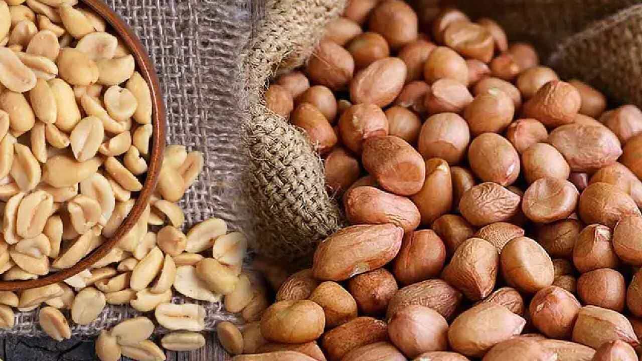 Peanut: ಕಡಲೆಕಾಯಿ ತಿನ್ನುವ ಅಭ್ಯಾಸ ಇದೆಯೇ? ಹೃದ್ರೋಗ ನಿವಾರಣೆಗೆ ಇದು ಹೇಗೆ ಸಹಕಾರಿ ತಿಳಿಯಿರಿ Peanut: ಕಡಲೆಕಾಯಿ ತಿನ್ನುವ ಅಭ್ಯಾಸ ಇದೆಯೇ? ಹೃದ್ರೋಗ ನಿವಾರಣೆಗೆ ಇದು ಹೇಗೆ ಸಹಕಾರಿ ತಿಳಿಯಿರಿ